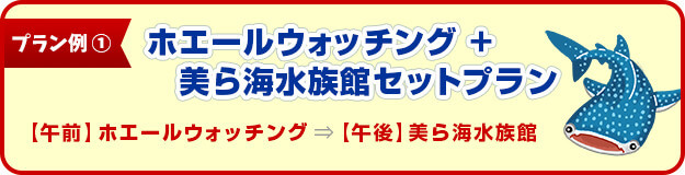 プラン例１