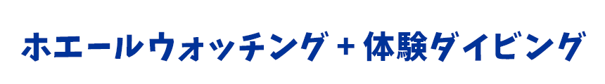 ホエールウォッチング ＋ 体験ダイビング