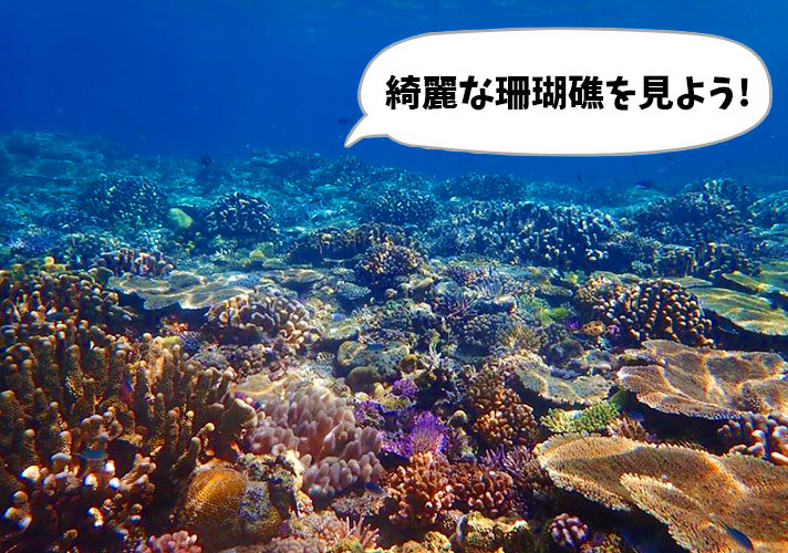 シュノーケル